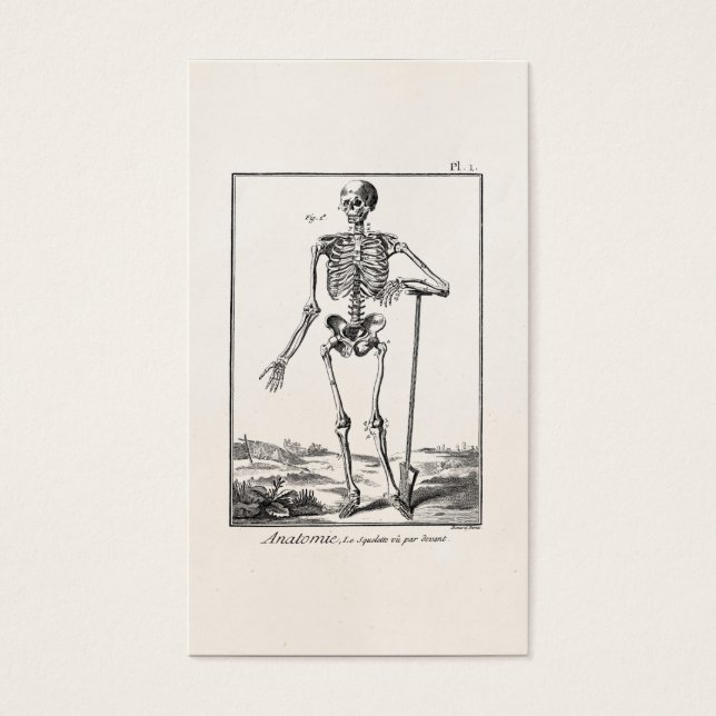 Anatomía del esqueleto humano de la pala de cosech (Frente)