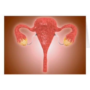 Anatomía del útero femenino con los ovarios