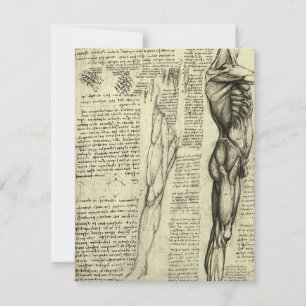 Anatomía Humana de Leonardo da Vinci Músculos Masc