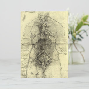 Anatomía Humana de Leonardo da Vinci, Torso Femeni