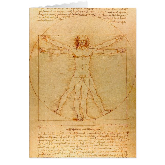 Anatomía humana, hombre vitruviano de Leonardo da  (Frente)