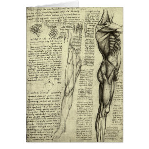 Anatomía Humana Masculina Músculos por Leonardo da