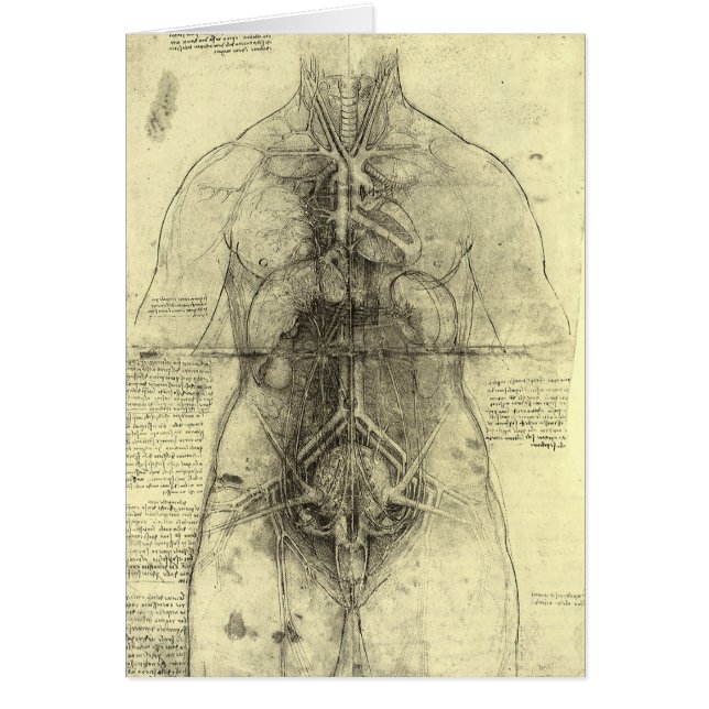 Anatomía humana, Torso femenino, de Leonardo da Vi (Frente)