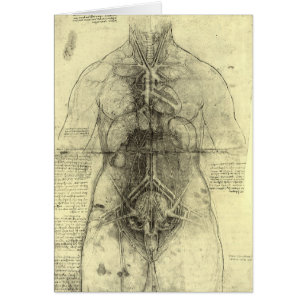 Anatomía Humana, Torso Femenino por Leonardo da Vi