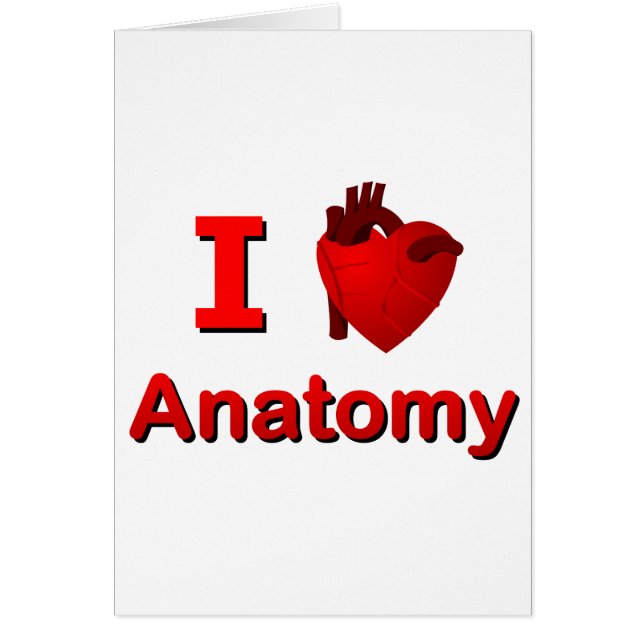 Anatomía I <3 (Frente)