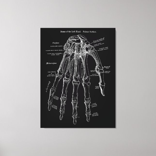Anatomía manual Gran arte de pared de lienzo de 36 (Anverso)