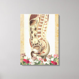 Anatomía vintage material de lienzo médico impreso