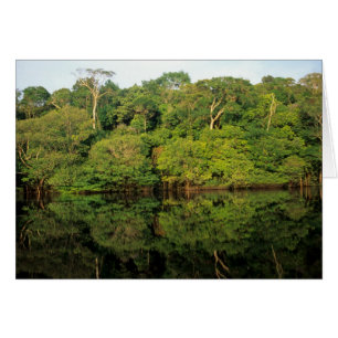 Anavilhanas, Amazonas, Brasil. Río de selva tropic