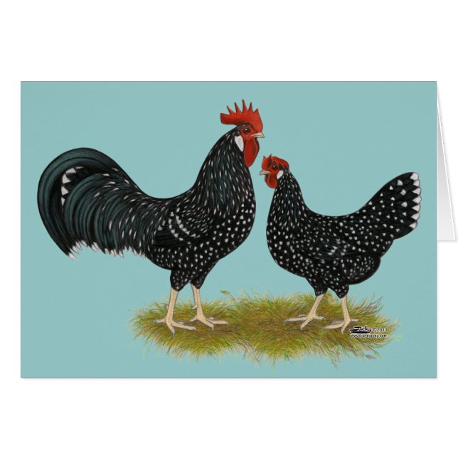 Ancona Chickens (Anverso (Horizontal))