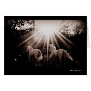 andaluz Run~ del ~Run