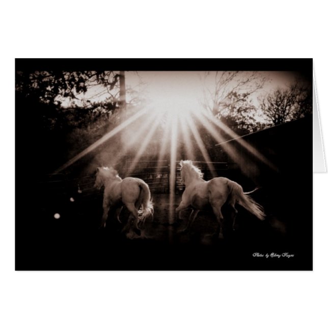 andaluz Run~ del ~Run (Anverso (Horizontal))