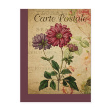 Anemona de la tarjeta postal francesa de origen bo