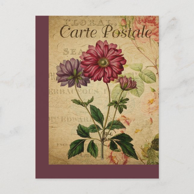 Anemona de la tarjeta postal francesa de origen bo (Anverso)