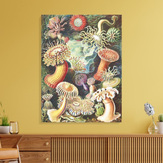 Anémonas de Mar de Haeckel Arte Náutico de Vida Ma (Insitu (Sala de estar))