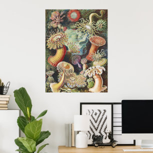 Anémonas de Mar de Haeckel Arte Náutico de Vida Ma