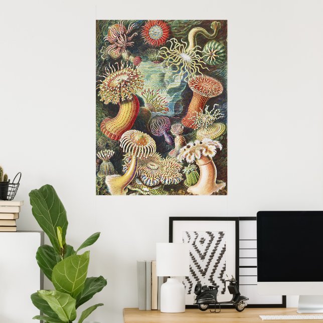 Anémonas de Mar de Haeckel Arte Náutico de Vida Ma (Oficina en casa)