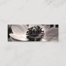 Anemone 1 Tarjetas de visita para fotografía flora