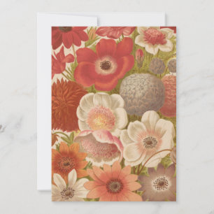 Anemone   George Nicholson