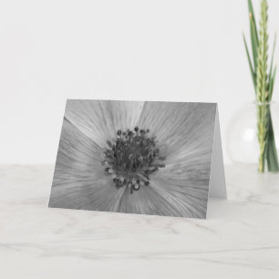 Anemone / Noir, tarjeta