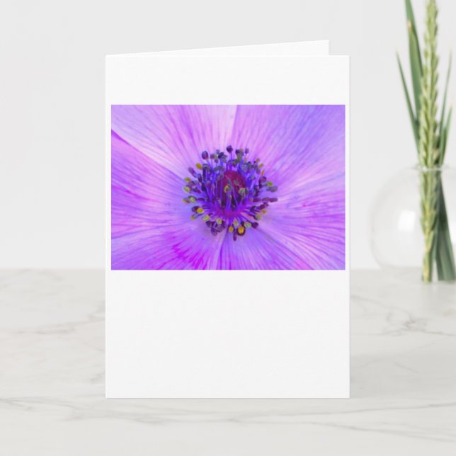 Anemone, tarjeta (Anverso)