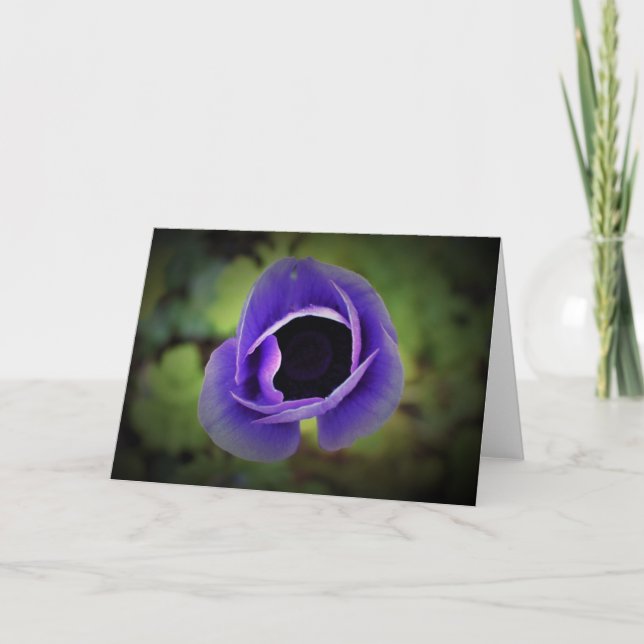 Anemone, tarjeta (Anverso)