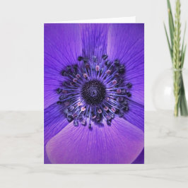 Anemone, tarjeta