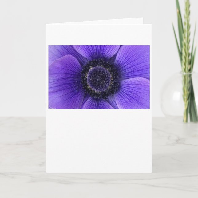 Anemone, tarjeta (Anverso)