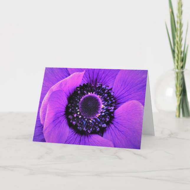 Anemone, tarjeta (Anverso)