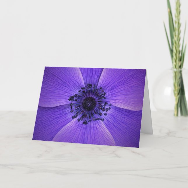Anemone, tarjeta (Anverso)