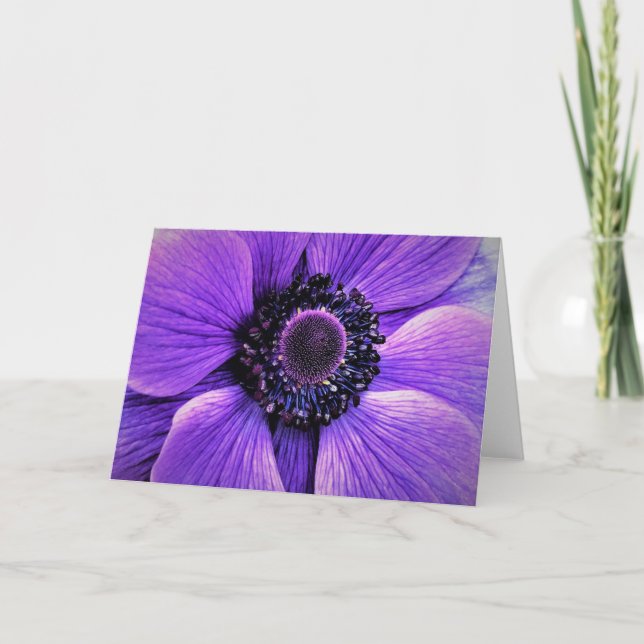 Anemone, tarjeta (Anverso)