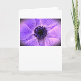 Anemone, tarjeta