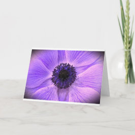 Anemone, tarjeta