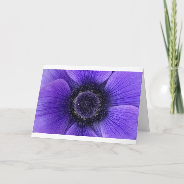 Anemone, tarjeta (Anverso)