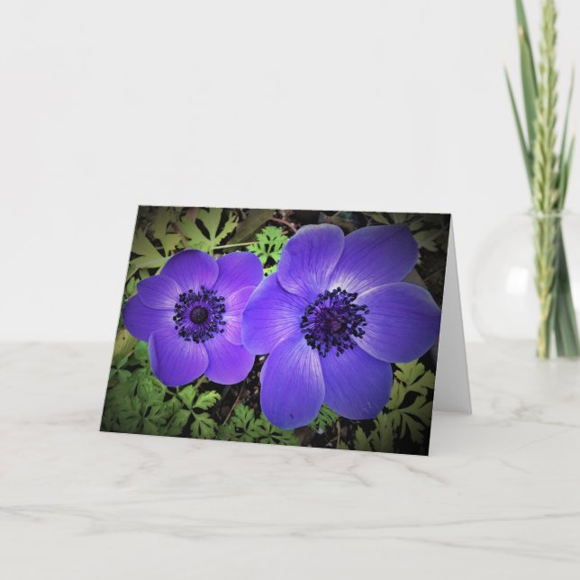 Anemone, tarjeta (Anverso)