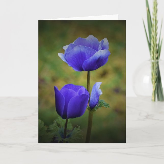 Anemone, tarjeta (Anverso)