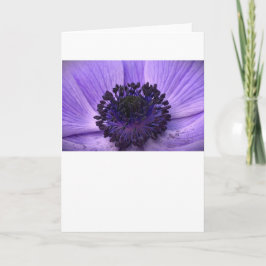 Anemone, tarjeta
