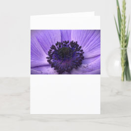 Anemone, tarjeta