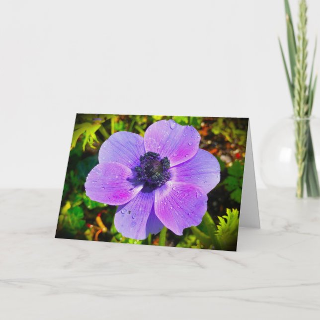 Anemone, tarjeta (Anverso)