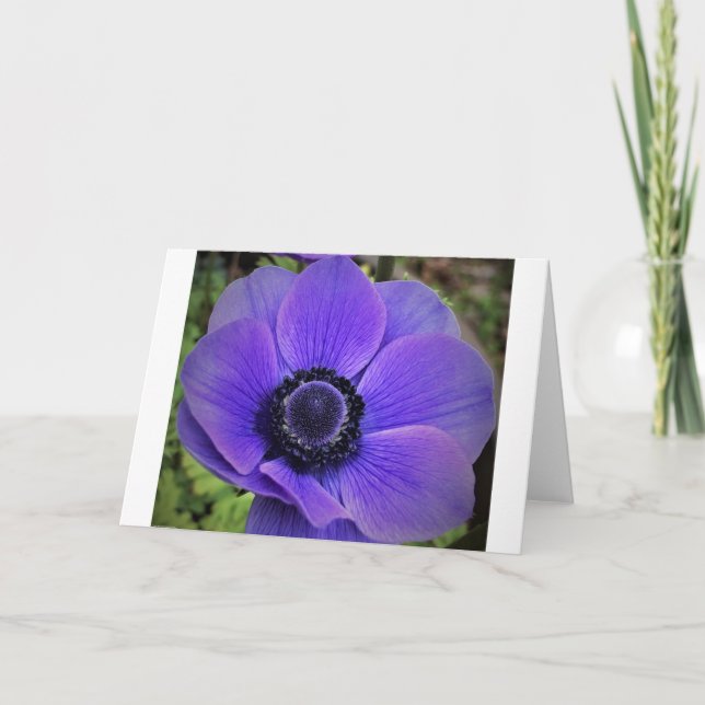 Anemone, tarjeta (Anverso)