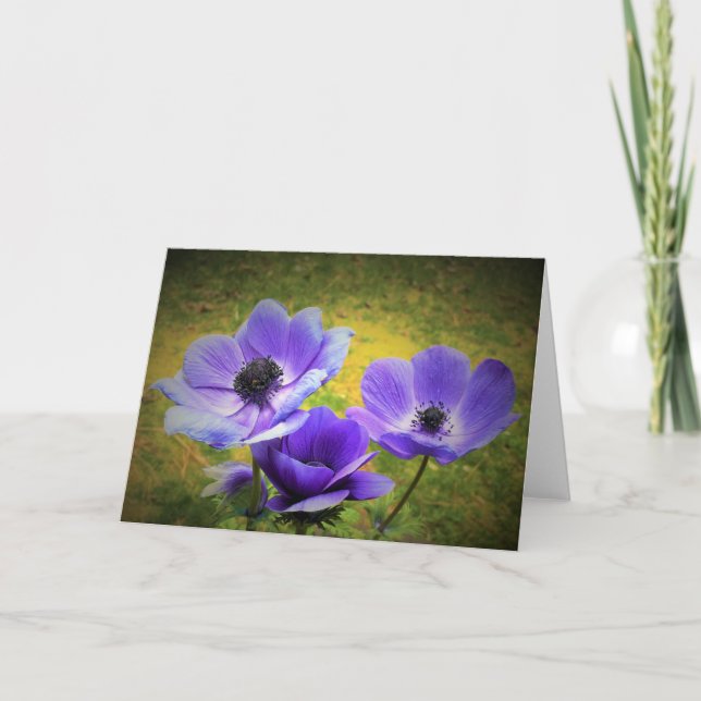 Anemone, tarjeta (Anverso)