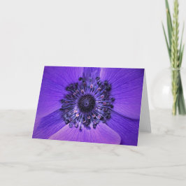 Anemone, tarjeta