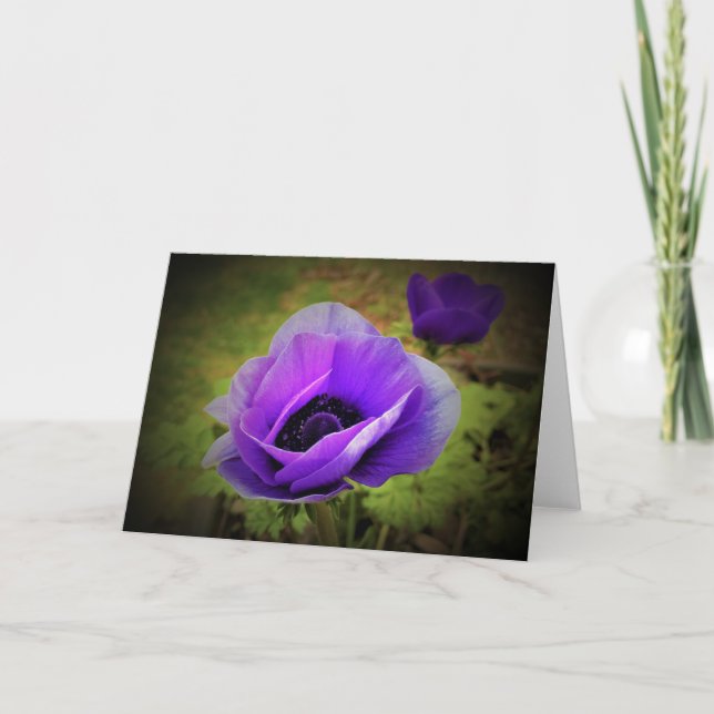 Anemone, tarjeta (Anverso)