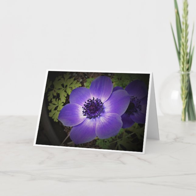 Anemone, tarjeta (Anverso)