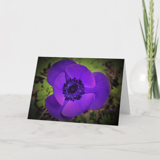 Anemone, tarjeta (Anverso)