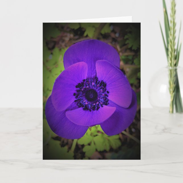 Anemone, tarjeta (Anverso)