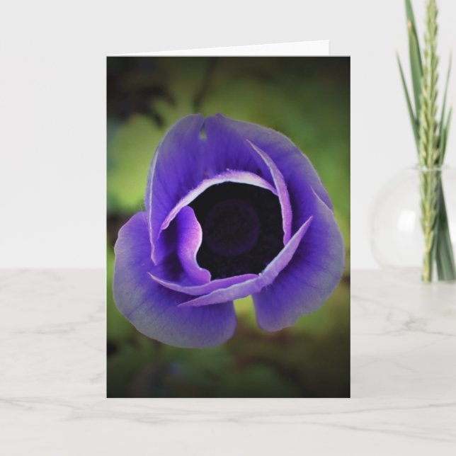 Anemone, tarjeta (Anverso)