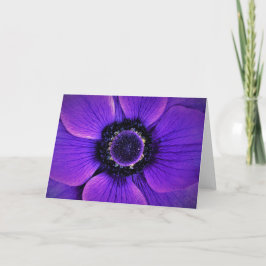 Anemone, tarjeta