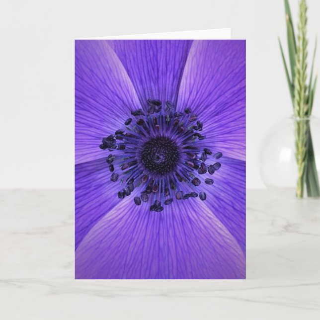 Anemone, tarjeta (Anverso)