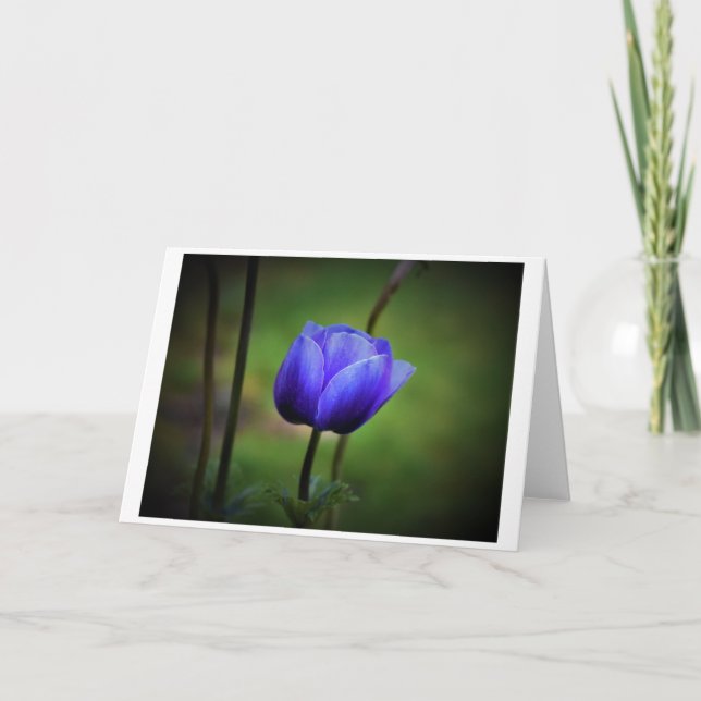 Anemone, tarjeta (Anverso)