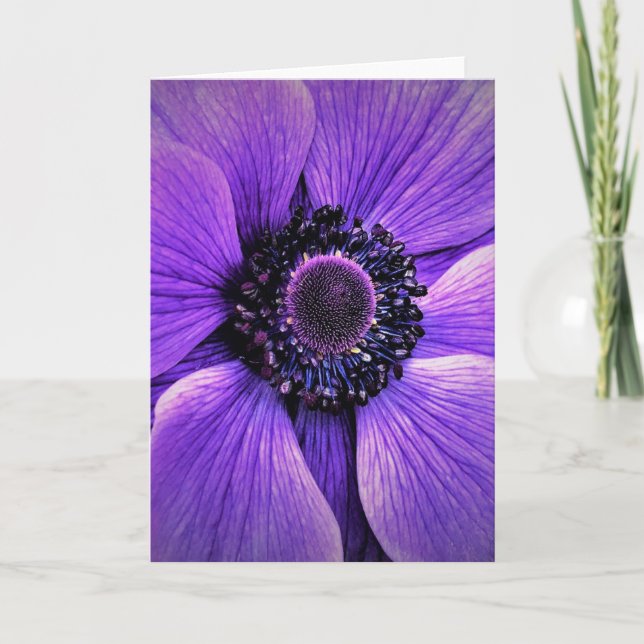 Anemone, tarjeta (Anverso)